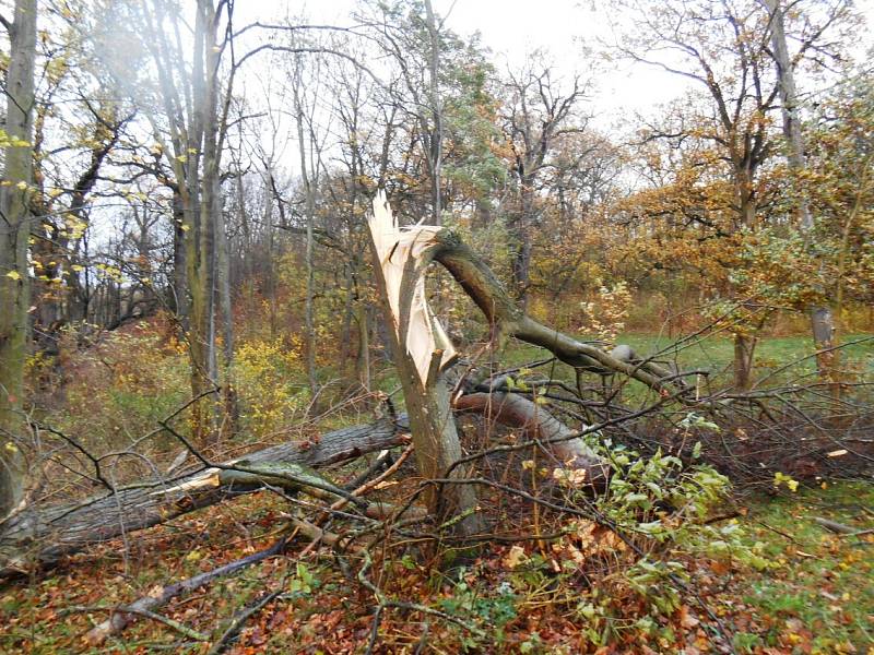 Kopidlnský park pocuchala vichřice