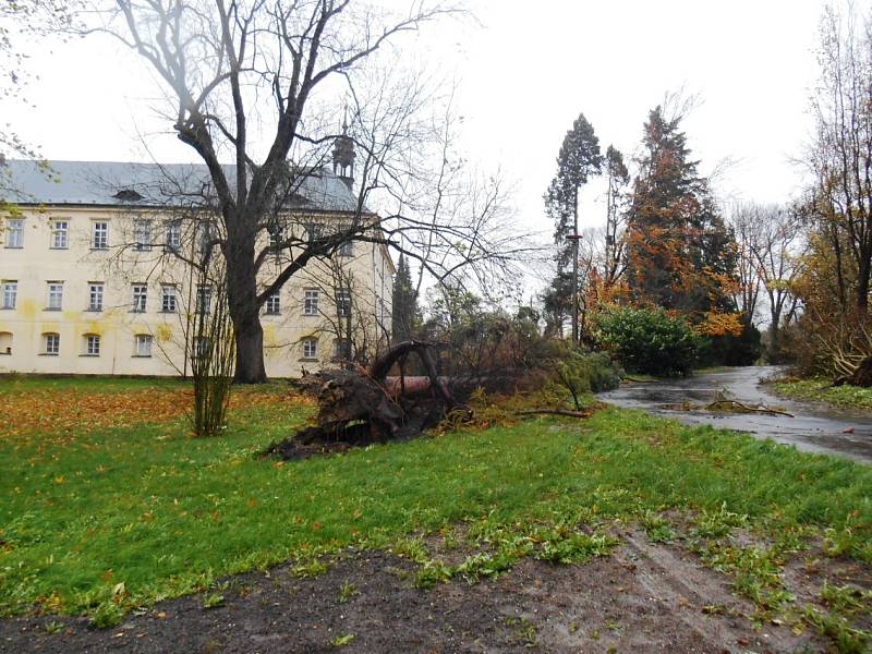 Kopidlnský park pocuchala vichřice