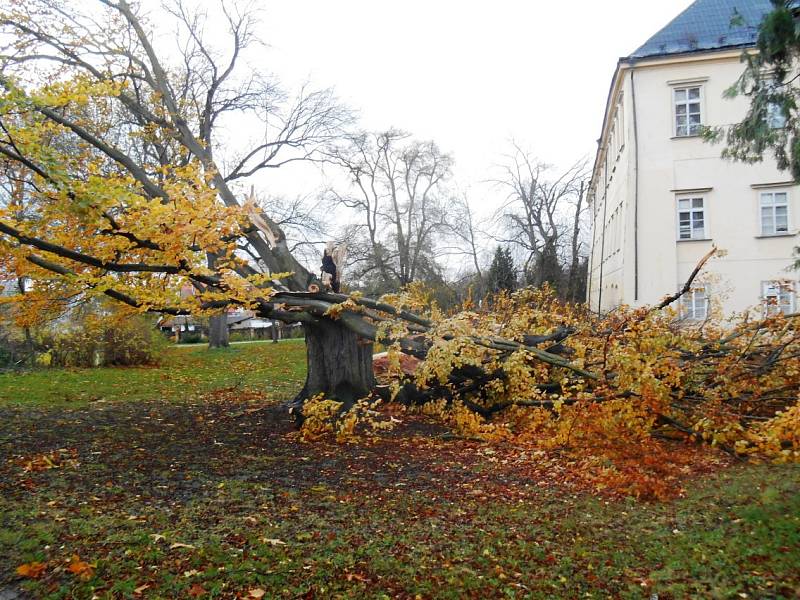 Kopidlnský park pocuchala vichřice