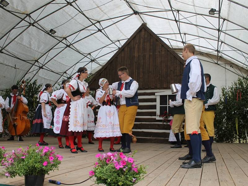 Bělohradské folklorní slavnosti Pod Zvičinou.