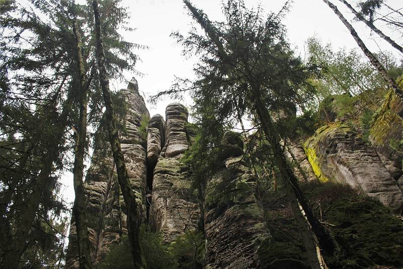 Zimní měsíce se správci rozhodli využít k vytěžení dřeva napadeného kůrovcem. Z toho důvodu je pro chladumilné turisty uzavřena Zelená rokle.