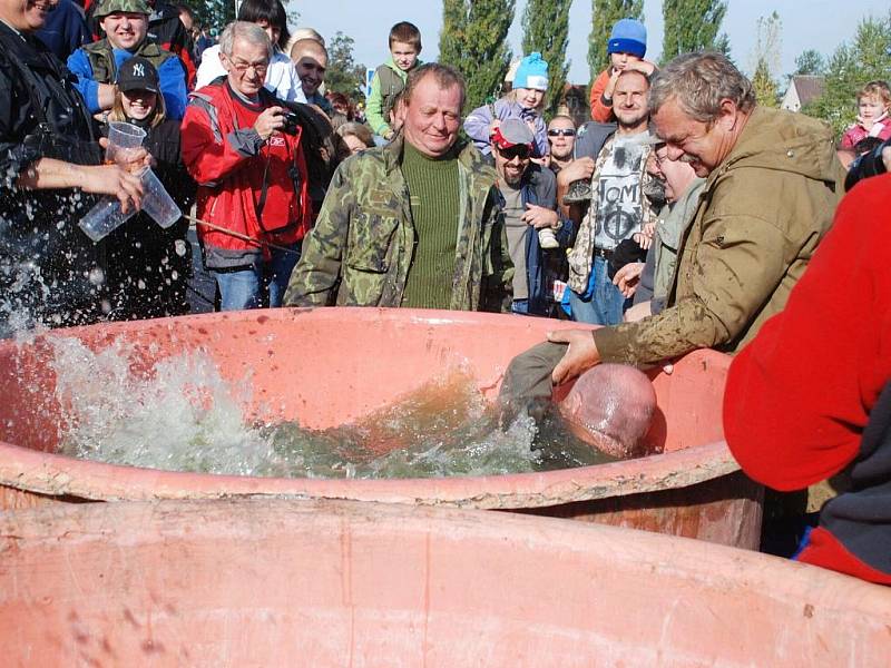 Jičínský starosta Martin Puš si při výlovu rybníka Kníže také užil vody.