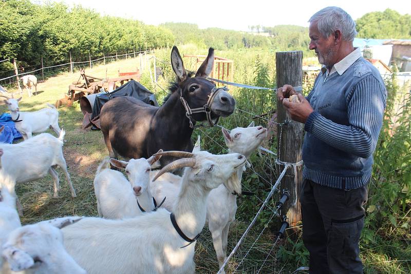 V Újezdci u Syřenova je zpřístupněna květinová zahrada manželů Suchardových, kteří se specializují na pěstování fuchsií.