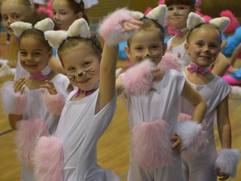 Bohemia Aerobic Tour v Jičíně.