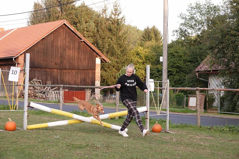 Hubertova jízda v Lužanech.