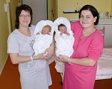 Sestry Damaškovy se svými novorozenci v jičínské porodnici.