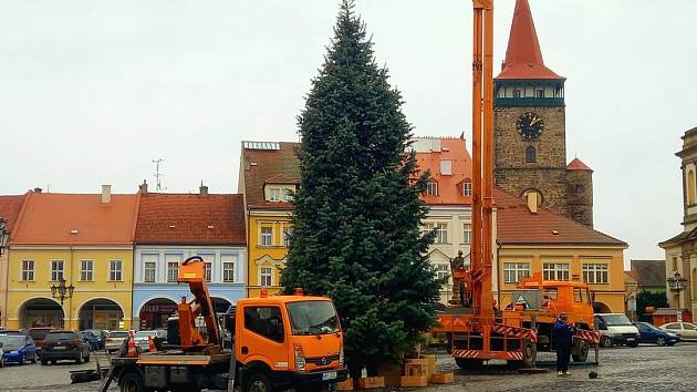 Vánoční strom v Jičíně byl vztyčen 19. listopadu