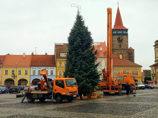 Vánoční strom v Jičíně byl vztyčen 19. listopadu