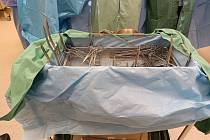 Jičínská nemocnice dala nahlédnout na operační sály, které letos prokoukly díky novým podlahám.