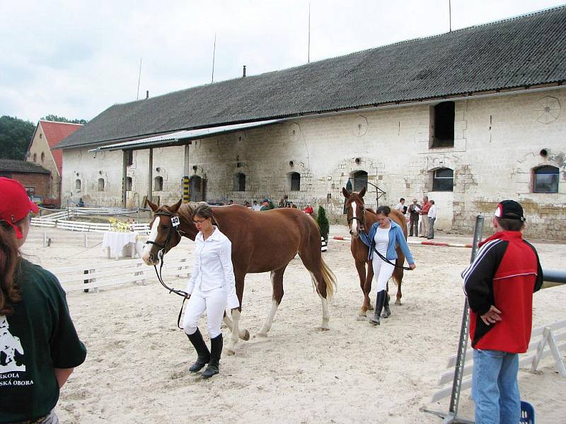 Přehlídka koní v areálu jezdecké školy Valdštejnská obora v Jičíně - Sedličkách.