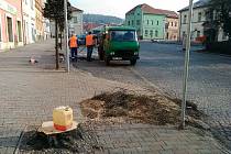 V Hořicích začali s kácením stromů na náměstí Jiřího z Poděbrad.Foto: Archív města
