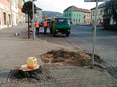 V Hořicích začali s kácením stromů na náměstí Jiřího z Poděbrad.Foto: Archív města