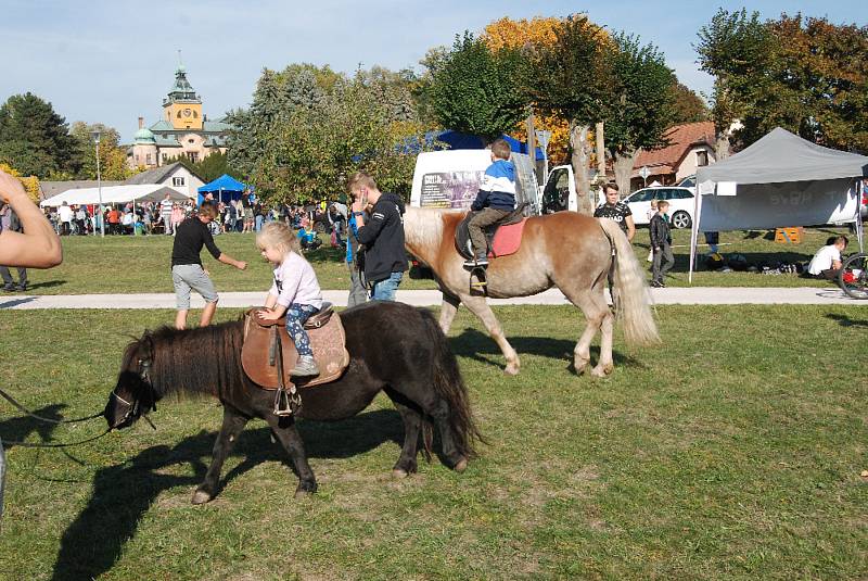 Prosluněná sobota patřila holovouským malináčům.