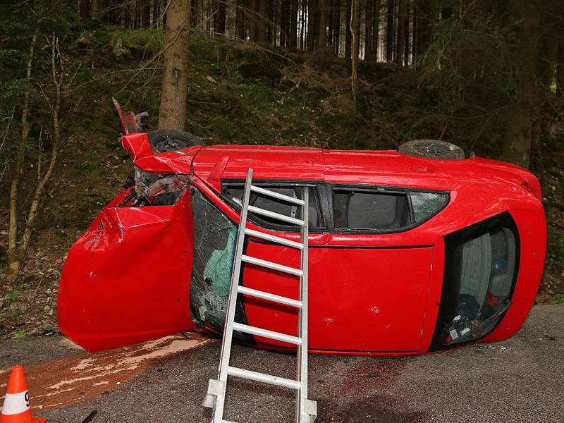 Auto s pěti cizinci narazilo do stromu. Jeden z nich nehodu nepřežil.