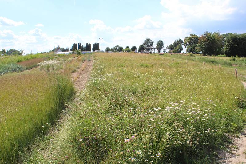 Česká květnice v Markvarticích.