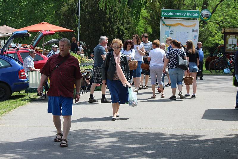 Podle organizátorů z kopidlenské Střední zahradnické školy sice přišlo o něco méně lidí, než obvykle, přesto se ale letošní Kvítek, i když netypicky na jaře, vydařil.