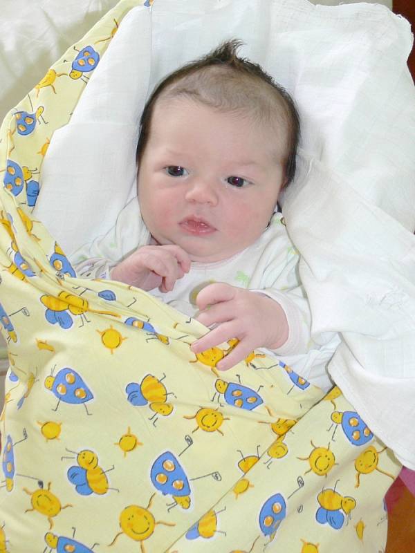 ROZÁLIE PAUKOVÁ dělá radost svým rodičům Štěpánce Paukové a Petru Drasnarovi od 21. června,  kdy se  narodila s váhou 3,72 kg a mírou 51 cm. Odvezli si ji domů do Lázní Bělohradu. 