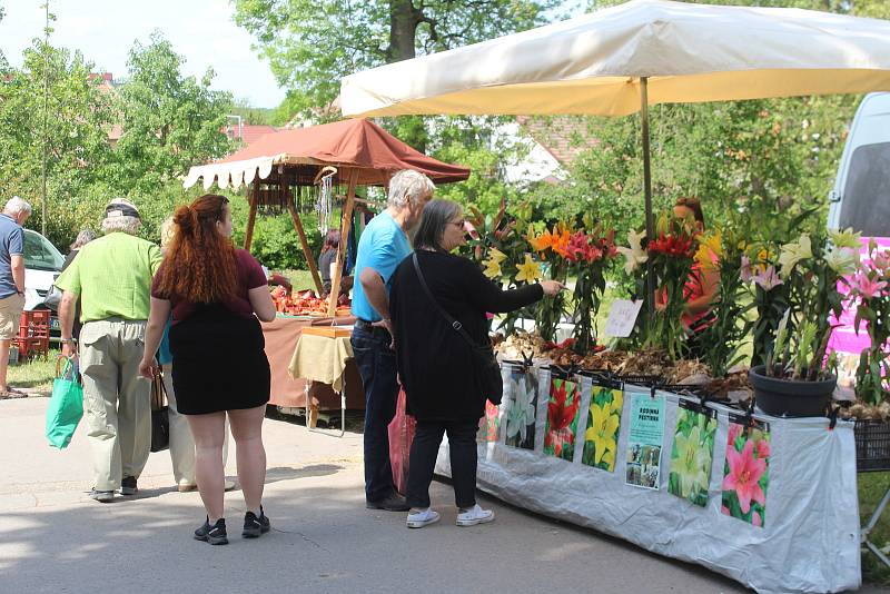 Podle organizátorů z kopidlenské Střední zahradnické školy sice přišlo o něco méně lidí, než obvykle, přesto se ale letošní Kvítek, i když netypicky na jaře, vydařil.