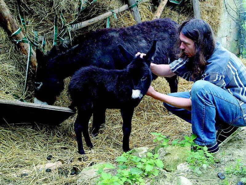 Stanislav Penc na své farmě.