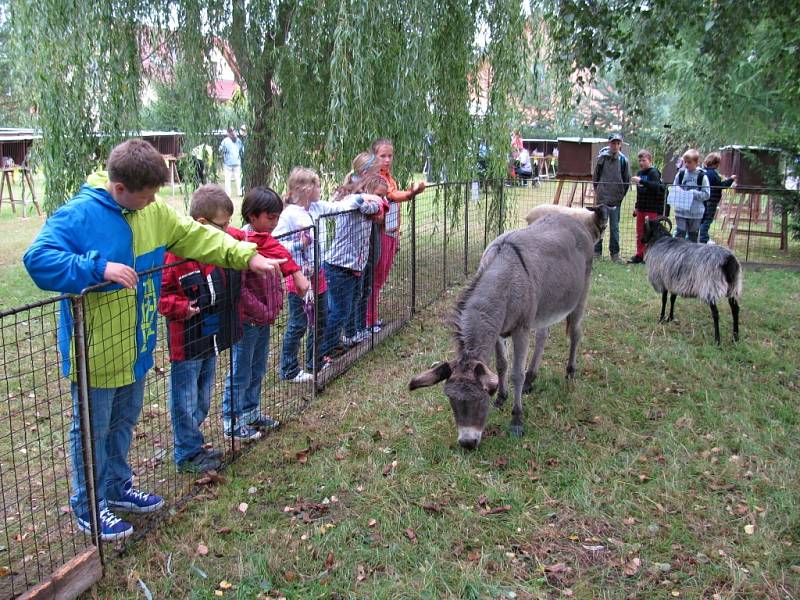 Hořičtí chovatelé vystavovali.