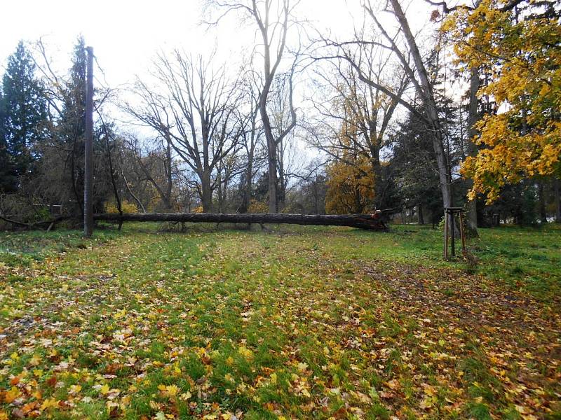 Kopidlnský park pocuchala vichřice