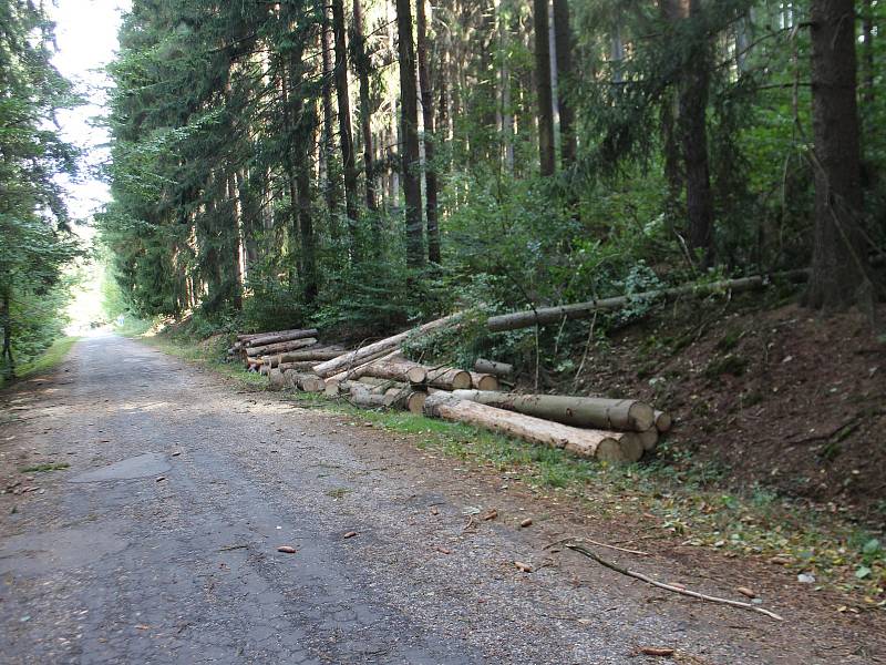 Páteční bouřka utrhla část střechy kostela v Úbislavicích, popadané stromy přerušily dodávku energie. Energetici stále odstraňují závady, takže spousta  domácností je bez elektrického proudu i bez mobilních dat.