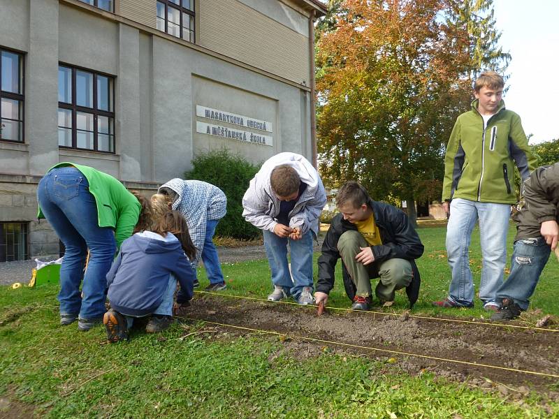 Chomutičtí žáci sázeli krokusy.