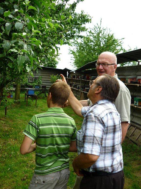 Návštěva u chovatele včelích matek Jiřího Strnada ve Štíhlicích u Českého Brodu. Na snímcích v galerii jsou přítel Strnad, př. Jarda Vích a děti z včelařského kroužku při ZŠ v Kopidlně.