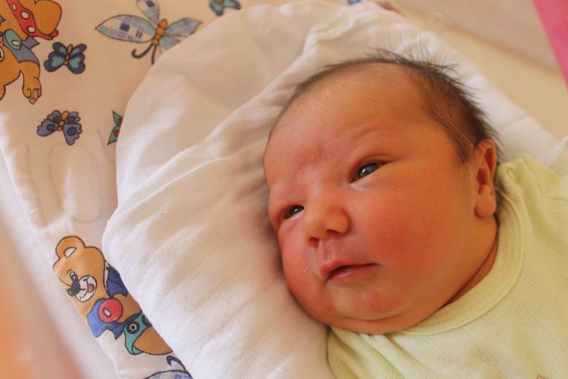 Ema Žilková je prvním potomkem Evy Michálkové a Jaromíra Žilky z Roudnice. Narodila se 17. června 2022 v 4.16 hodin s váhou 3750 gramů a mírou 49 cm.