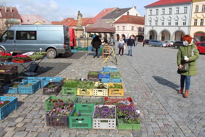 Farmářské trhy v Jičíně s nesmělým nástupem