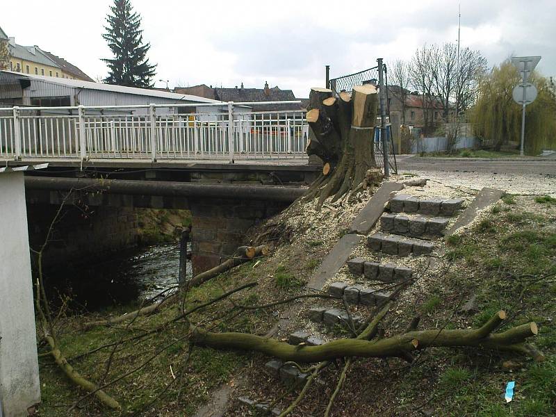 Strom pokácený v ulici Na Tobolce.