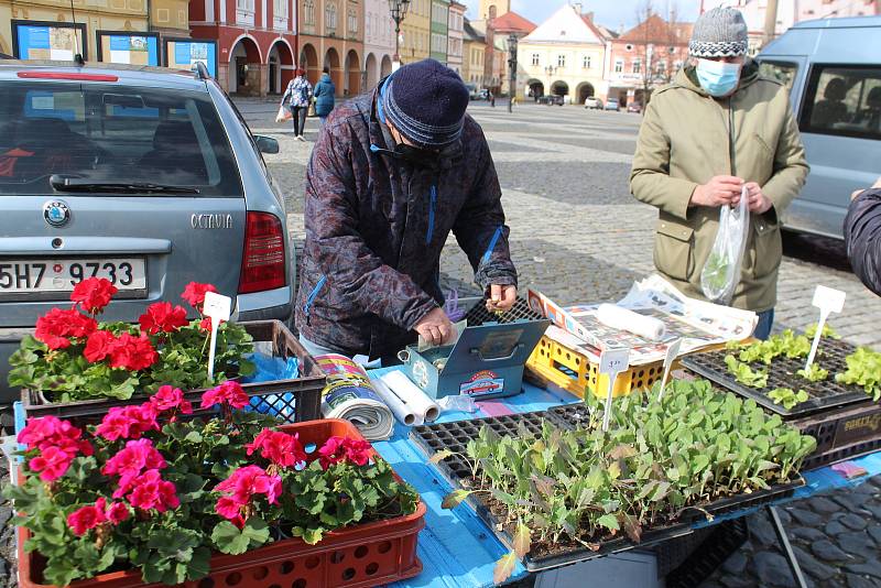 Farmářské trhy v Jičíně s nesmělým nástupem