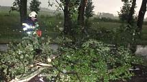 Následky noční bouřky likvidovali na mnoha místech v kraji hasiči. Komunikaci  u Nového Bydžova zablokoval spadlý strom.