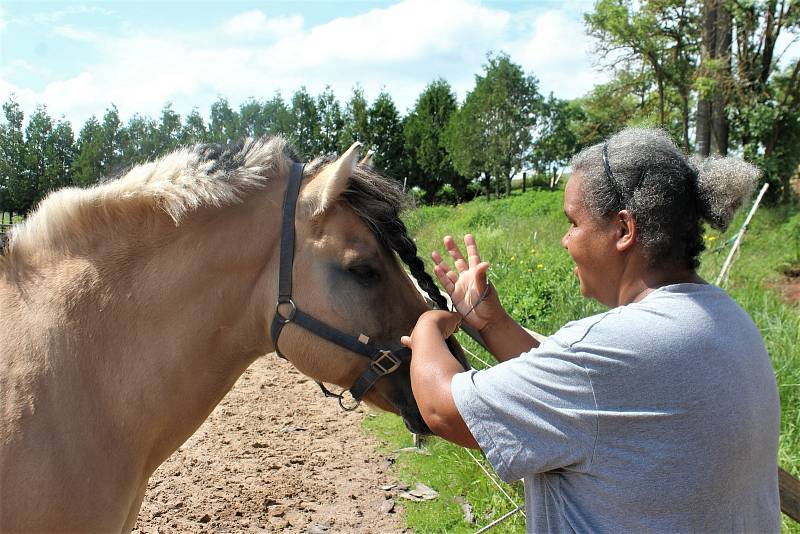 Fjordský kůň je jedno z nejčistších plemen na světě. Jeho podoba se téměř nezměnila od dob, kdy jej chovali skandinávští Vikingové. V Česku jej nyní chová jen málo lidí, hřebčín ve Staré Pace je jediný svého druhu u nás.