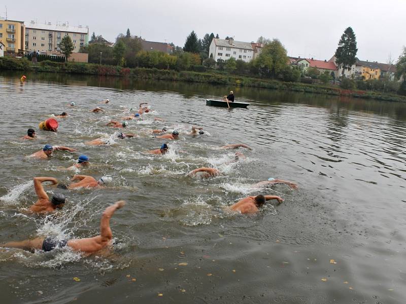 Plavání otužilců na rybníku Kníže.