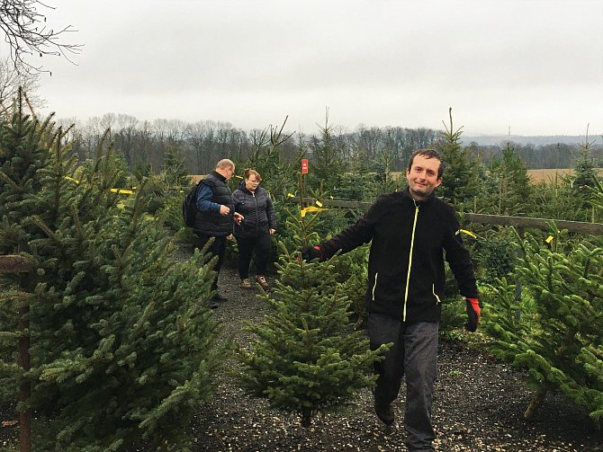 Z návštěvy plantáže vánočních stromků v Úlibicích si některé rodiny vytvořily předvánoční tradici.