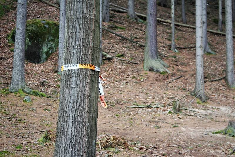 Zimní měsíce se správci rozhodli využít k vytěžení dřeva napadeného kůrovcem. Z toho důvodu je pro chladumilné turisty uzavřena Zelená rokle.