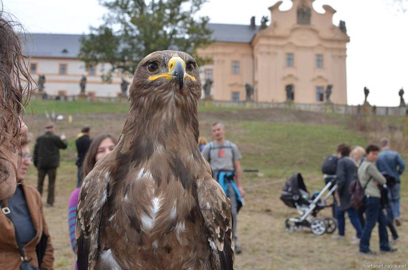 Svatohubertské slavnosti na Kuksu.