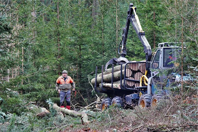 Zimní měsíce se správci rozhodli využít k vytěžení dřeva napadeného kůrovcem. Z toho důvodu je pro chladumilné turisty uzavřena Zelená rokle.