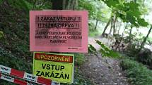 Hluboké koleje jsou sice zahlazené, ale na některých místech stejně zůstávají desítky centimetrů hluboké díry. Po těžbě zbylo v údolí spousta bláta a hromady suchých větví.