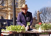 V Lužanech u Jičína žije jeden úspěšný podnikatel pan Ladislav Hnízdo, který se této činnosti intenzivně věnuje od roku 2015, kdy si založil svoje první záhony s cílem začít pěstovat polní zeleninu.