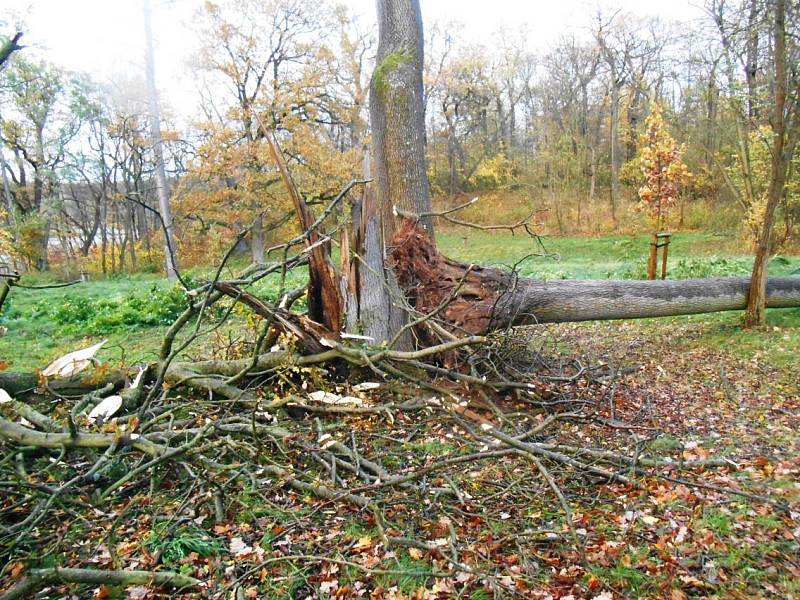 Kopidlnský park pocuchala vichřice