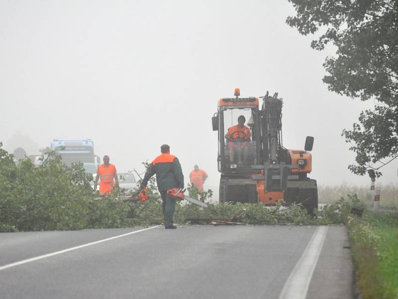 Do stromu uhodil blesk. K zemi šel ale bezpečně   Dnes v osm hodin ráno byla zastavena doprava na hlavní silnici I/16 od Nové Paky směrem na Jičín. Během nedávných bouřek uhodil blesk do stromu stojícího u křižovatky na Radim.