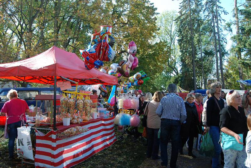 Návštěvníci výstavy mohli pozorovat talentované mladé zahradníky a zahradnice při tvorbě květinových aranží.