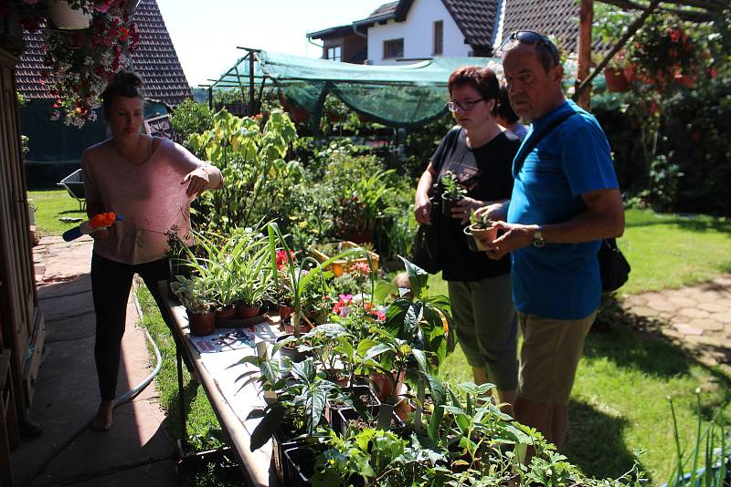 Vůněmi a rozmanitými barvami hýří zahrada v Újezdci u Syřenova na Jičínsku, kde pěstují květiny všech druhů, keře a stromy manželé Suchardovi.