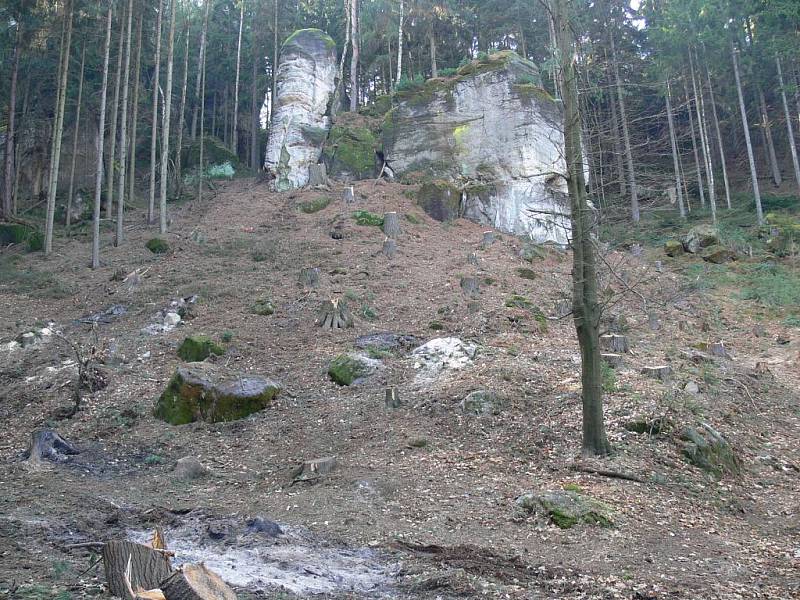 Prachovské skály, březen 2011.