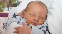 Albert Horný je prvním miminkem Lenky Horné Halamové a Ctirada Horného ze Záhoří Smrčí. V rodném listě má uvedeno datum narození 17. června 2022, čas 19.29 hodin. Vážil 3170 gramů a měřil 50 centimetrů.