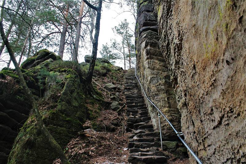 Zimní měsíce se správci rozhodli využít k vytěžení dřeva napadeného kůrovcem. Z toho důvodu je pro chladumilné turisty uzavřena Zelená rokle.