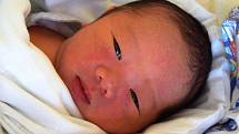 Tran Trong Qwy se usmívá na svět od 26. března, kdy se narodil s mírou 50 cm a váhou 3,65 kg. Radost mají rodiče Nguyen Thi Huong a Tran Duc Dwy. V Nové Pace čekají dva starší sourozenci.