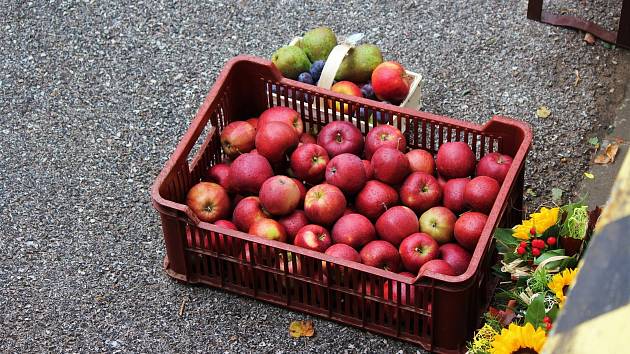 Podle statistiků za uplynulých 33 let z české krajiny zmizelo 43 procent původní plochy ovocných sadů. Ilustrační foto.